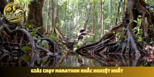 Giải chạy marathon khắc nghiệt nhất