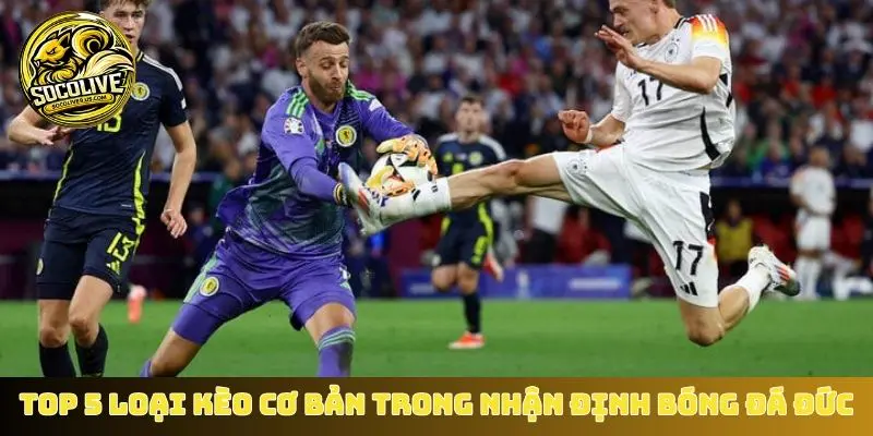 Top 5 loại kèo cơ bản trong nhận định bóng đá Đức