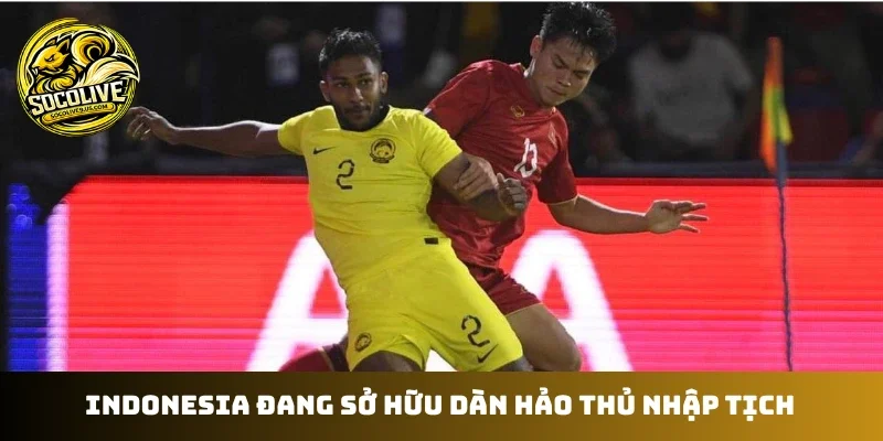 Indonesia đang sở hữu dàn hảo thủ nhập tịch